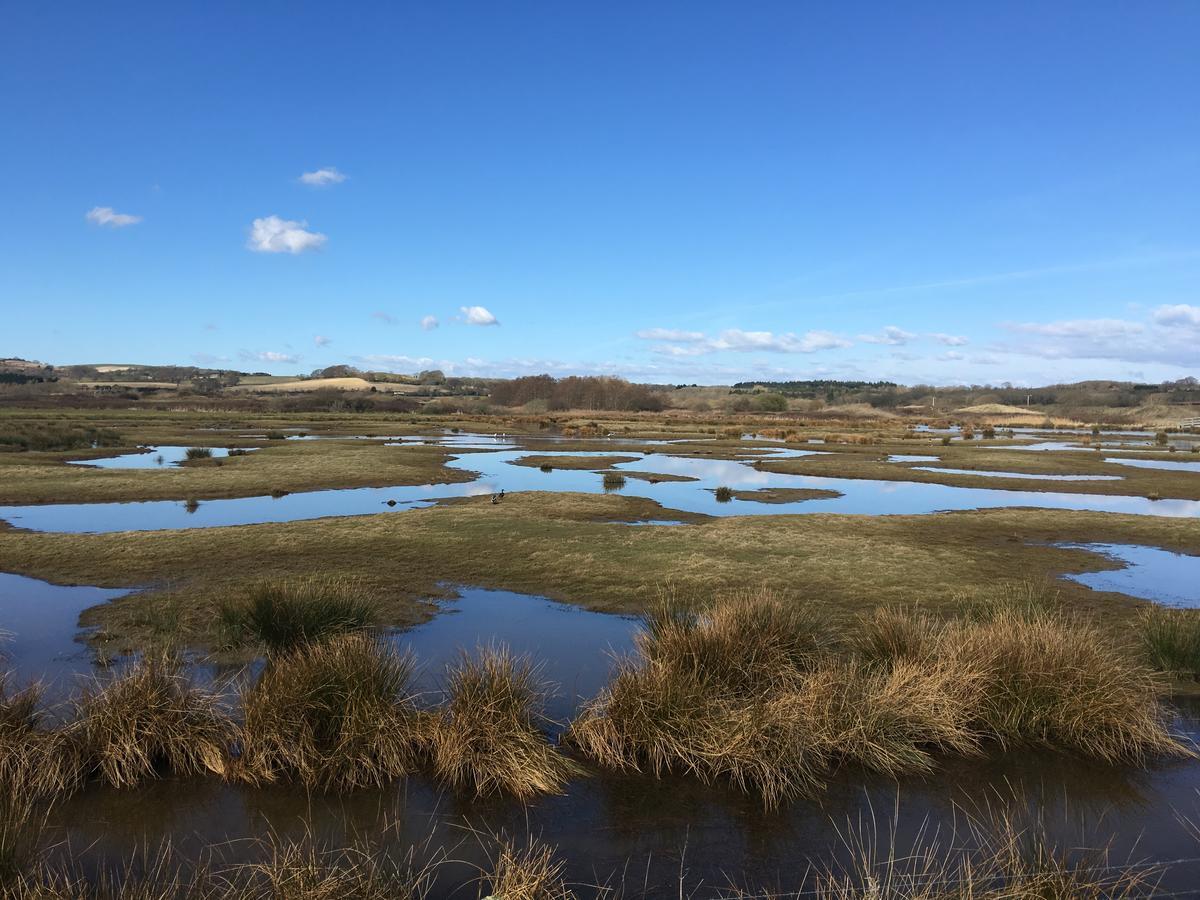 The Lodge On The Marsh Brading 외부 사진